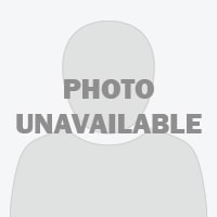 arethasa arethasa